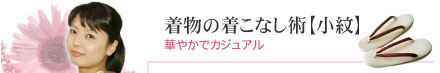 着物の着こなし術【小紋】